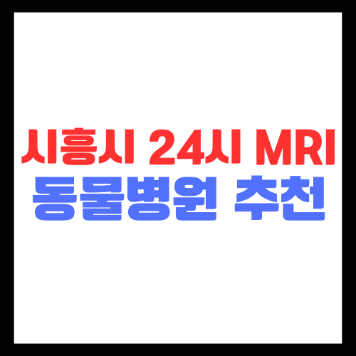 시흥시-강아지-mri-동물병원-추천-비용-24시