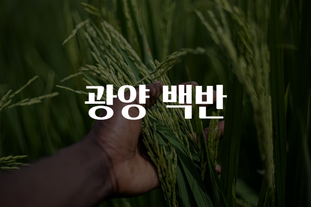 맛집백반 이미지