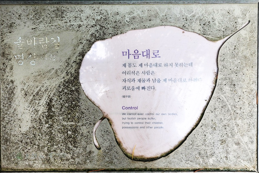 솔향 이미지