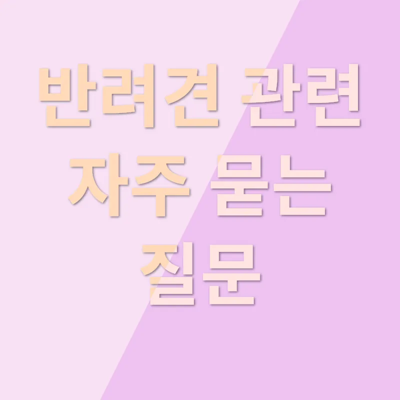 반려견 선택_4