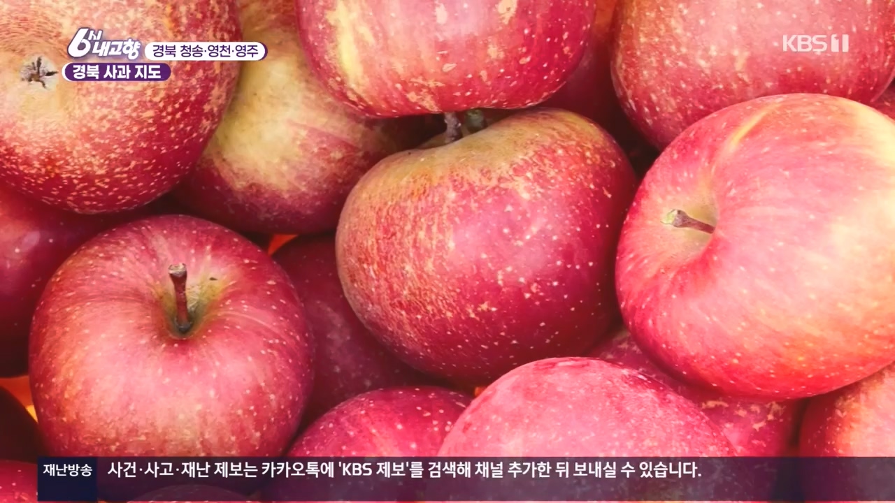 6시 내고향.E7907.231108p.H264-F1RST.mp4_20231108_204730.258.jpg