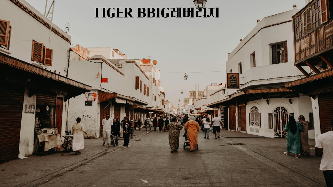  TIGER BBIG레버리지/412560