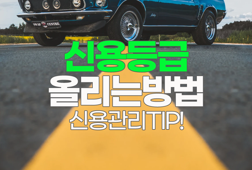  신용등급 올리는 방법 관리 조회 TIP!