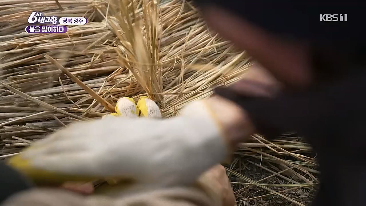 6시 내고향.E7748.230321p.H264-F1RST.mp4_20230321_202115.680.jpg