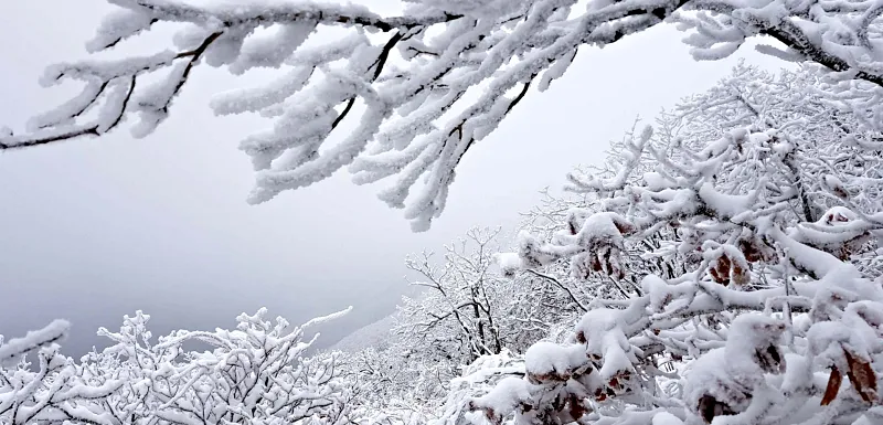 소백산 설경 상고대