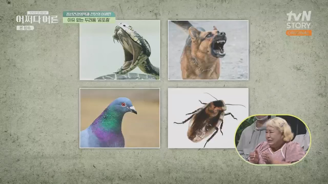 어쩌다 어른.E34.230531p.H264-F1RST.mp4_20231104_185811.137.jpg