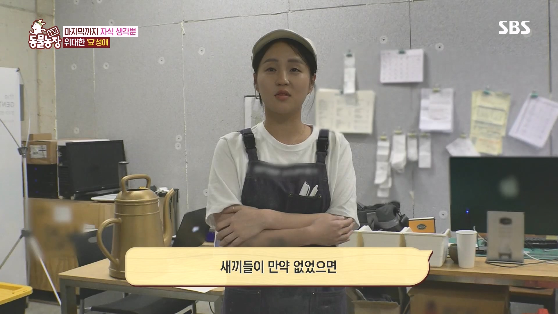 TV 동물농장.E1182.240728p.H264-F1RST.mp4_20240728_152525.817.jpg