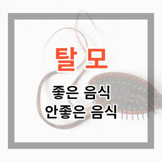  탈모에 좋은 음식 및 안좋은 음식 빠지는 머리카락을 조금이라도 늦추어 보세요.