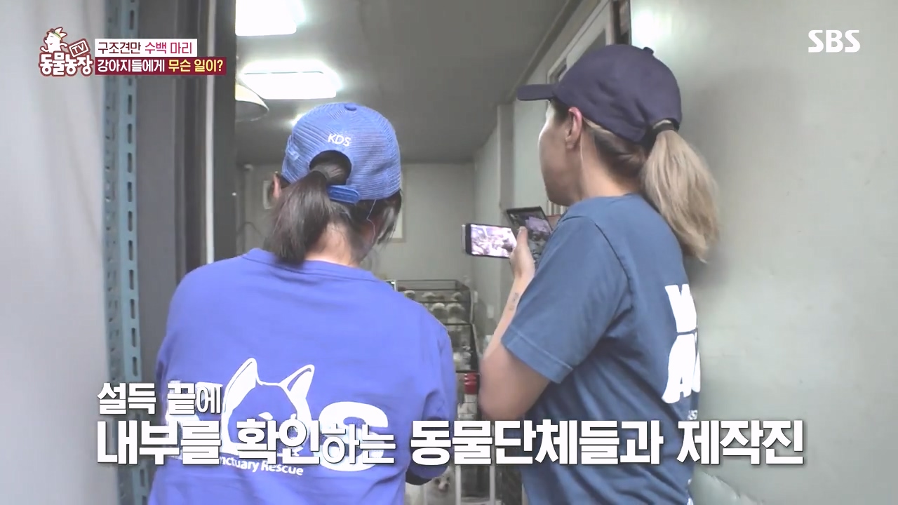 TV 동물농장.E1142.231023p-NEXT.mp4_20231022_171917.999.jpg