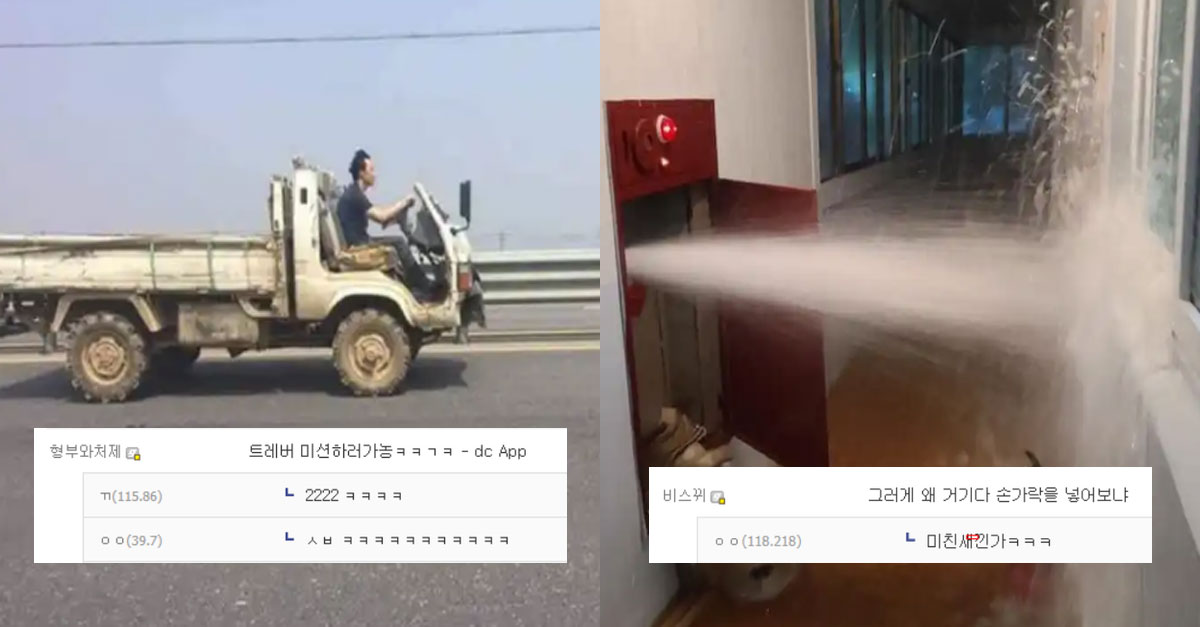  디씨 야갤 대참사 모음ㅋㅋㅋ