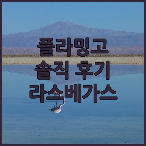 플라밍고 호텔 & 카지노 후기 위치는