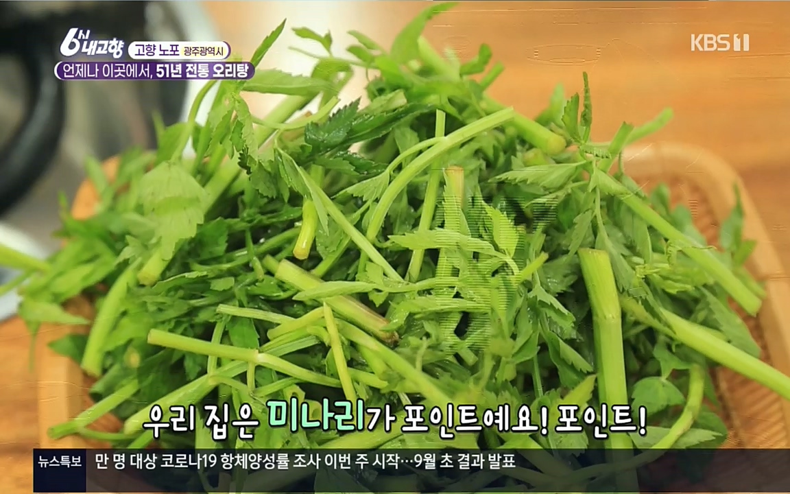 6시 내고향.E7583.220727p.H264-F1RST.mp4_20220727_213916.209.jpg