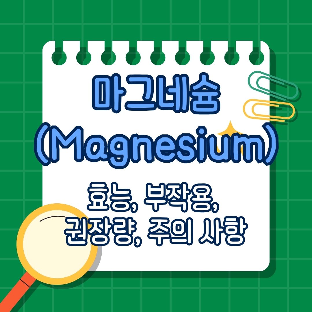 마그네슘(Magnesium)효능, 부작용, 권장량, 부족 증상, 많이 포함 된 음식, 복용법, 함께 섭취하면 안 되는 영양제, 함께 섭취하면 좋은 영양제
