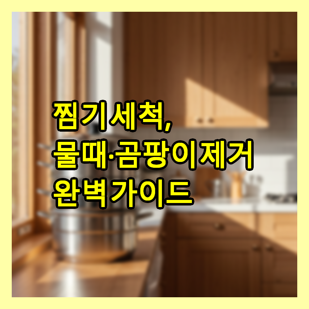 찜기 세척, 물때·곰팡이 제거 완벽 가이드