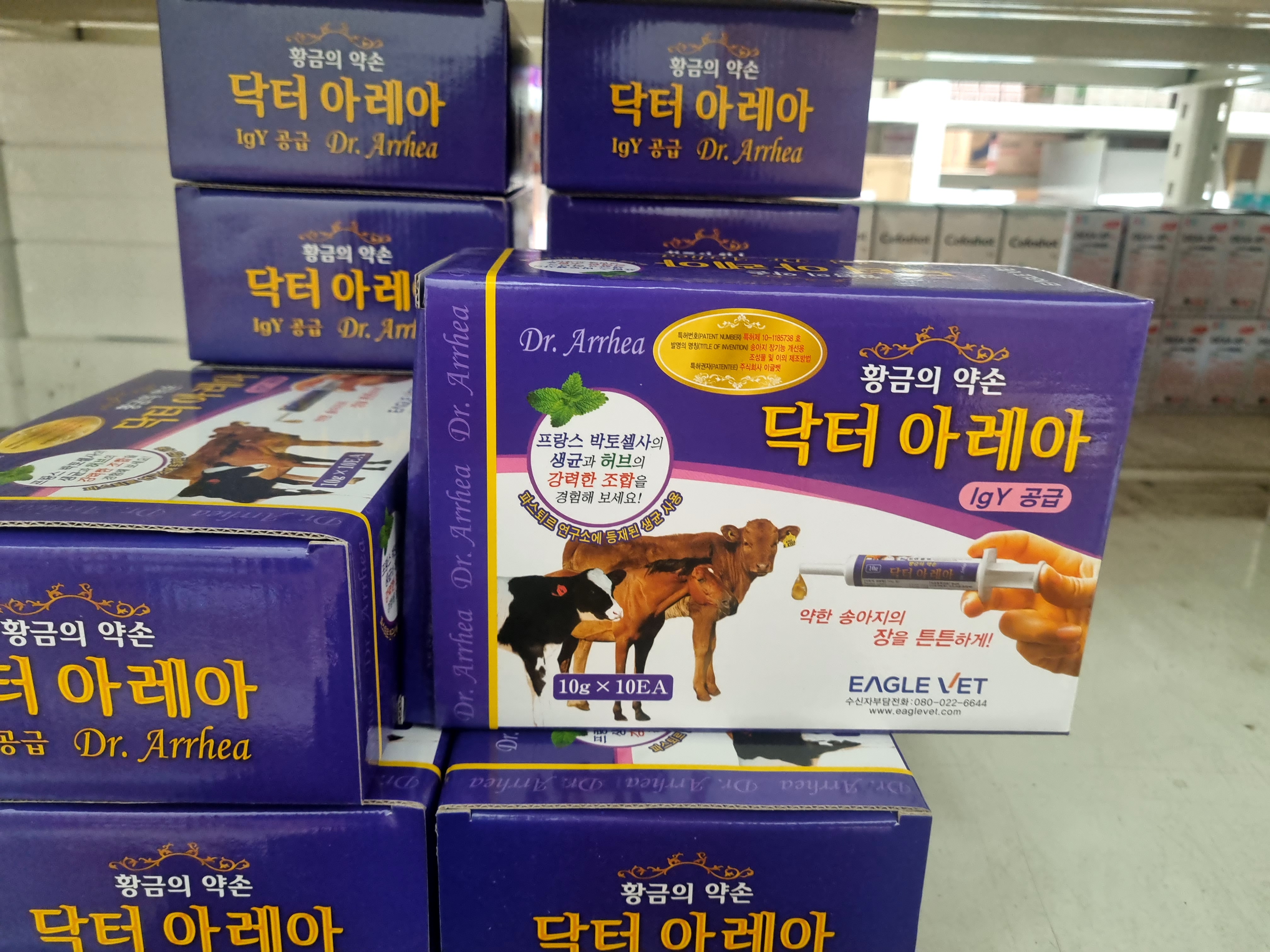  송아지 설사 igy 10g 제품 이글벳 황금의 약손 닥터 아레아