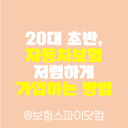 자동차보험료보조금 모하비보험 제대로 정리하는 법 알려드립니다 12