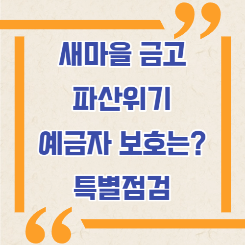 새마을금고 특별점검