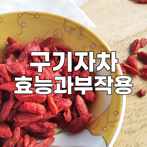  구기자차 효능과 부작용 총정리