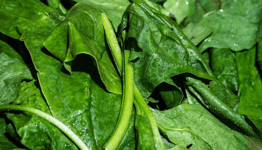 비타민E가 많은 음식 시금치 잎이 놓여 있다