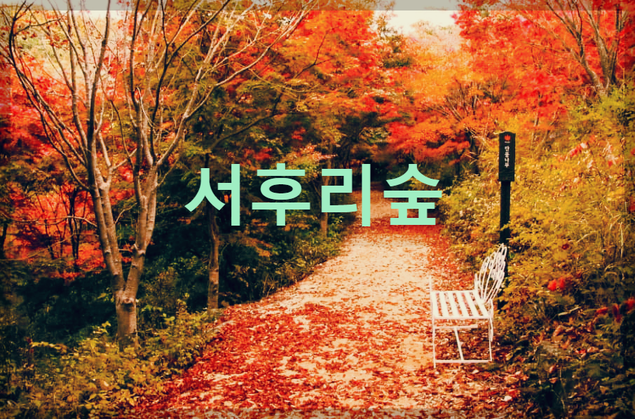 예쁜숲 이미지