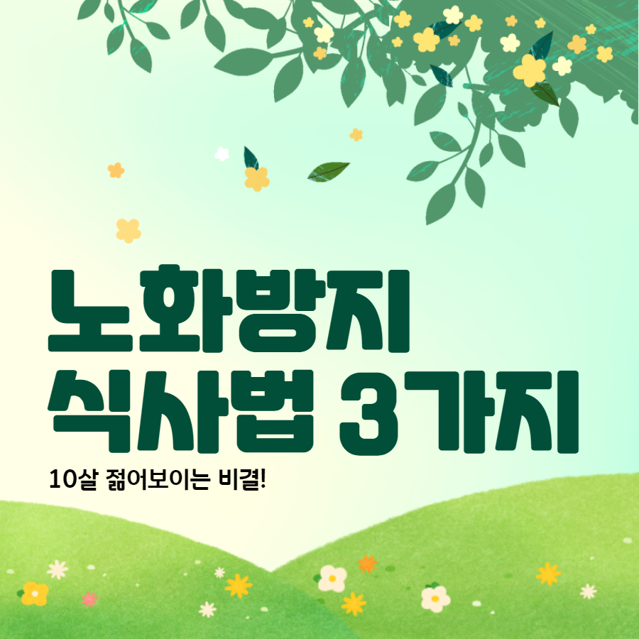 노화방지 식사법