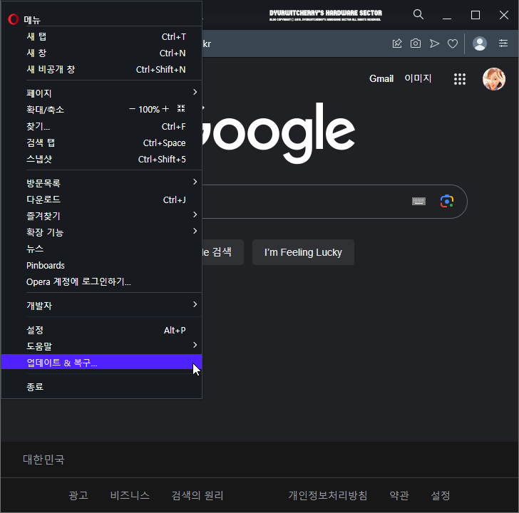 Opera Browser 복구