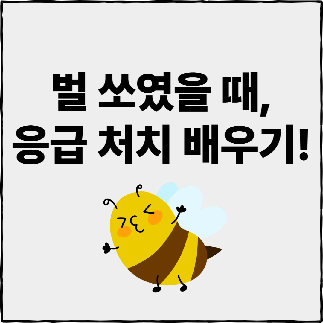 벌 쏘였을 때 대처법, 응급처치