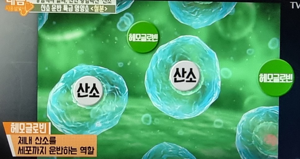 철분 많은 고기 철분이 많은 5