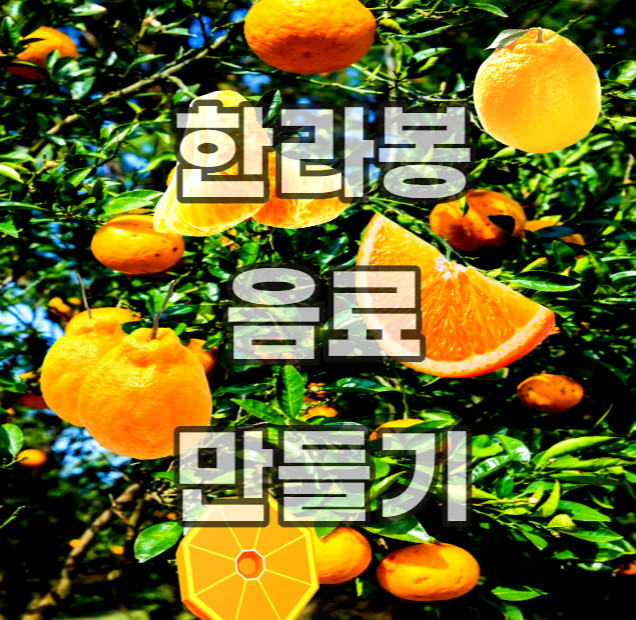 한라봉-에이드-주스-쥬스-차-청-잼-꿀