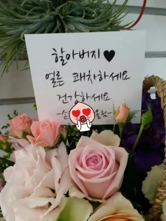 건강한 회복을 기원하며 전하는 진심 어린 쾌유 문구 5가지_25
