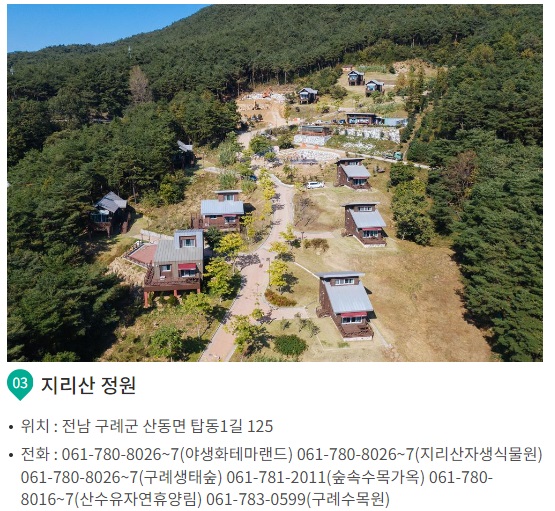 구례 산수유꽃 축제