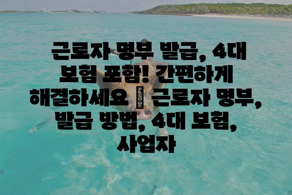 샘플 (1)