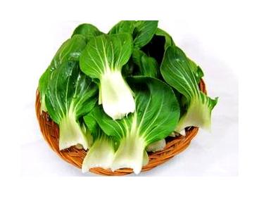 청경채 효능