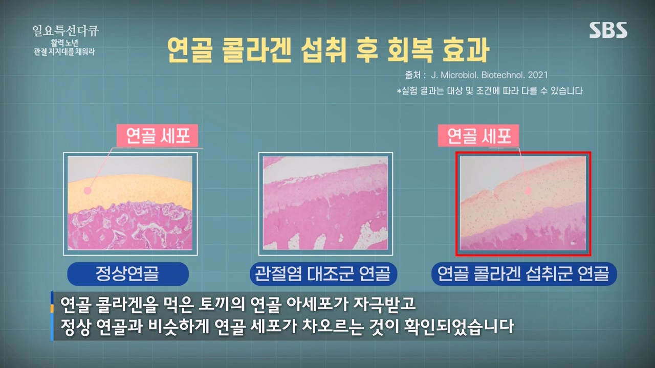 일요특선 다큐멘터리.E343.240304p-NEXT.mp4_20240305_202407.269.jpg