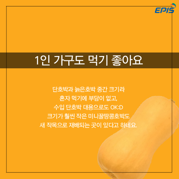 버터넛 이미지