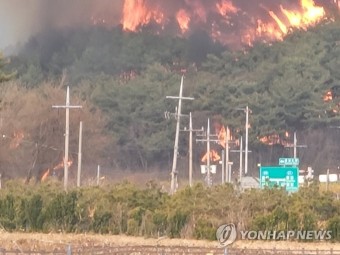 홍성 대전 산불