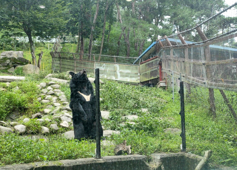 지리산 반달가슴곰 생태학습장