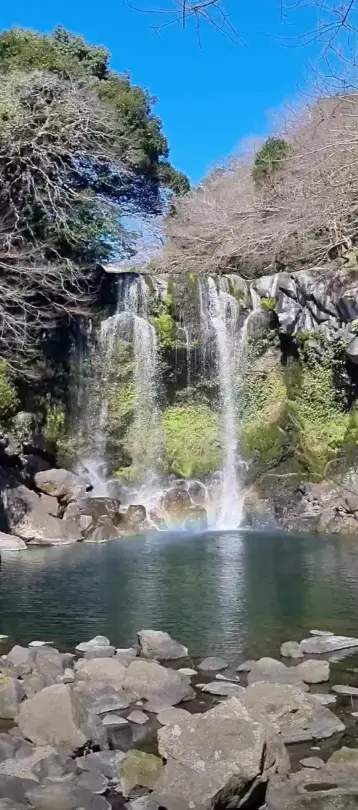 천제연폭포2