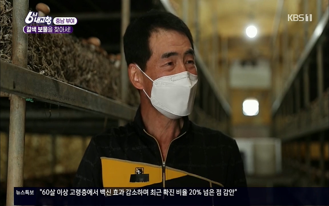 6시 내고향.E7512.220416p.H264-F1RST.mp4_20220502_185448.701.jpg