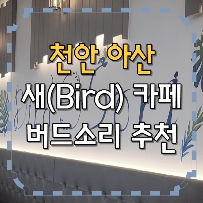 천안 아산 새(Bird) 카페 버드소리 추천