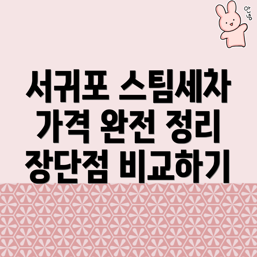 서귀포시 스팀세차 가격