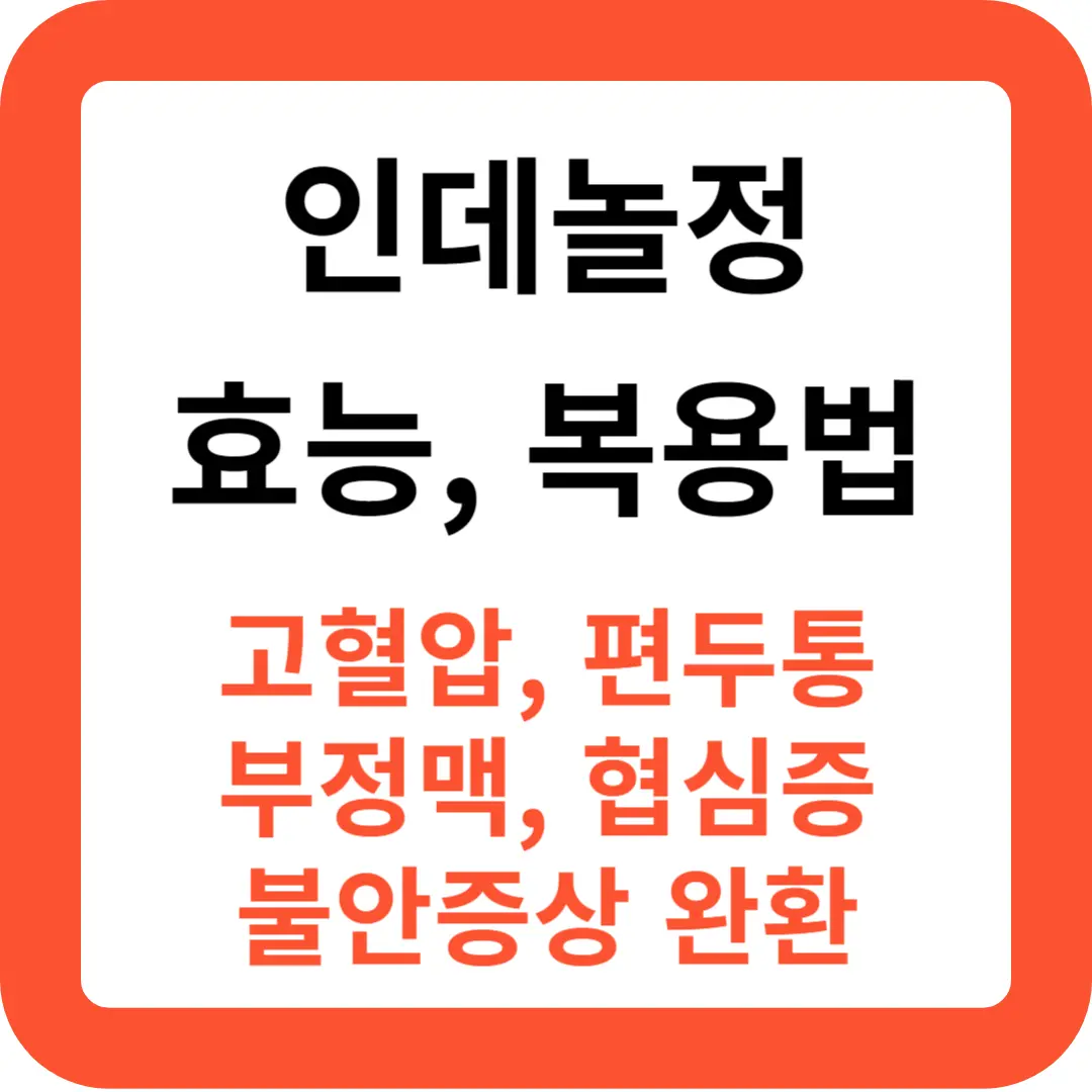 인데놀정-효능과-복용법-추천