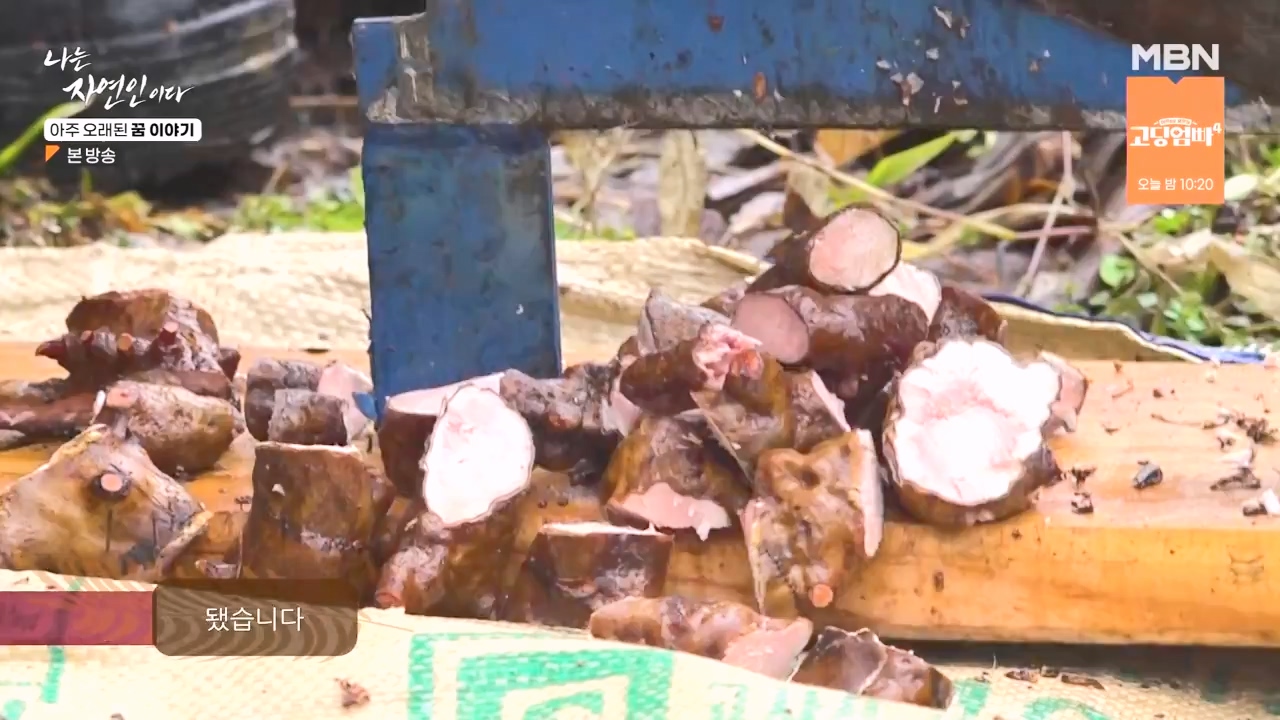 나는 자연인이다.E594.240222p-NEXT.mp4_20240222_195335.370.jpg