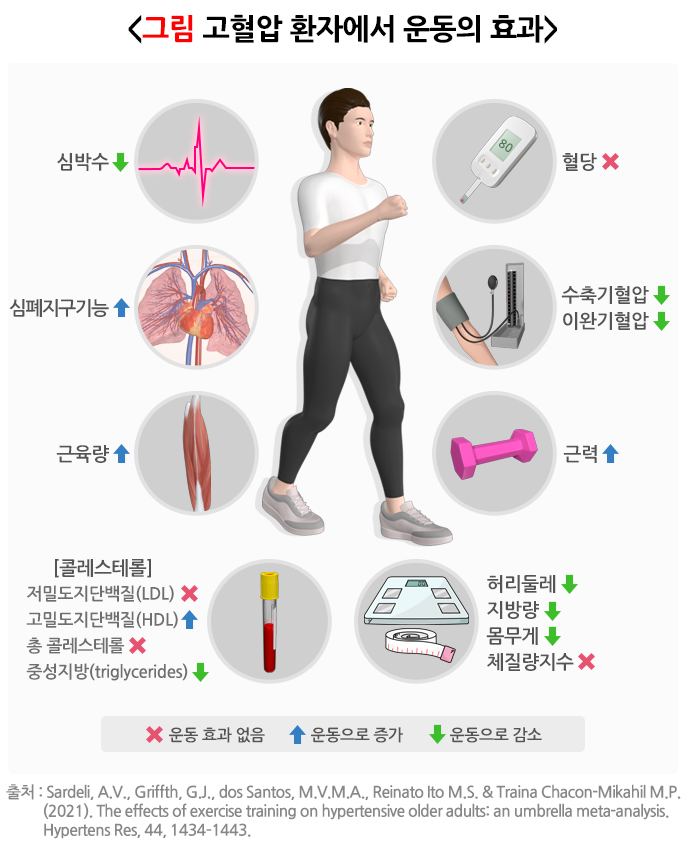 운동의-효과