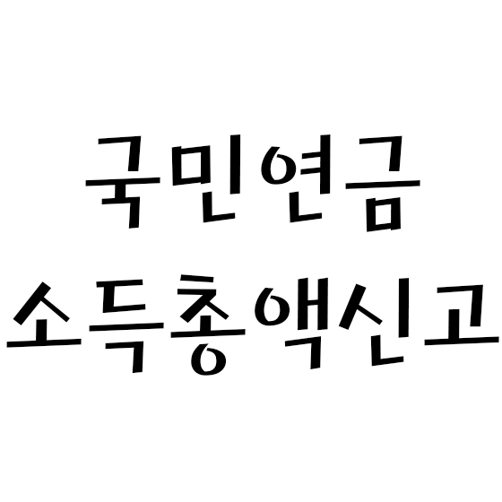  국민연금 소득총액 신고