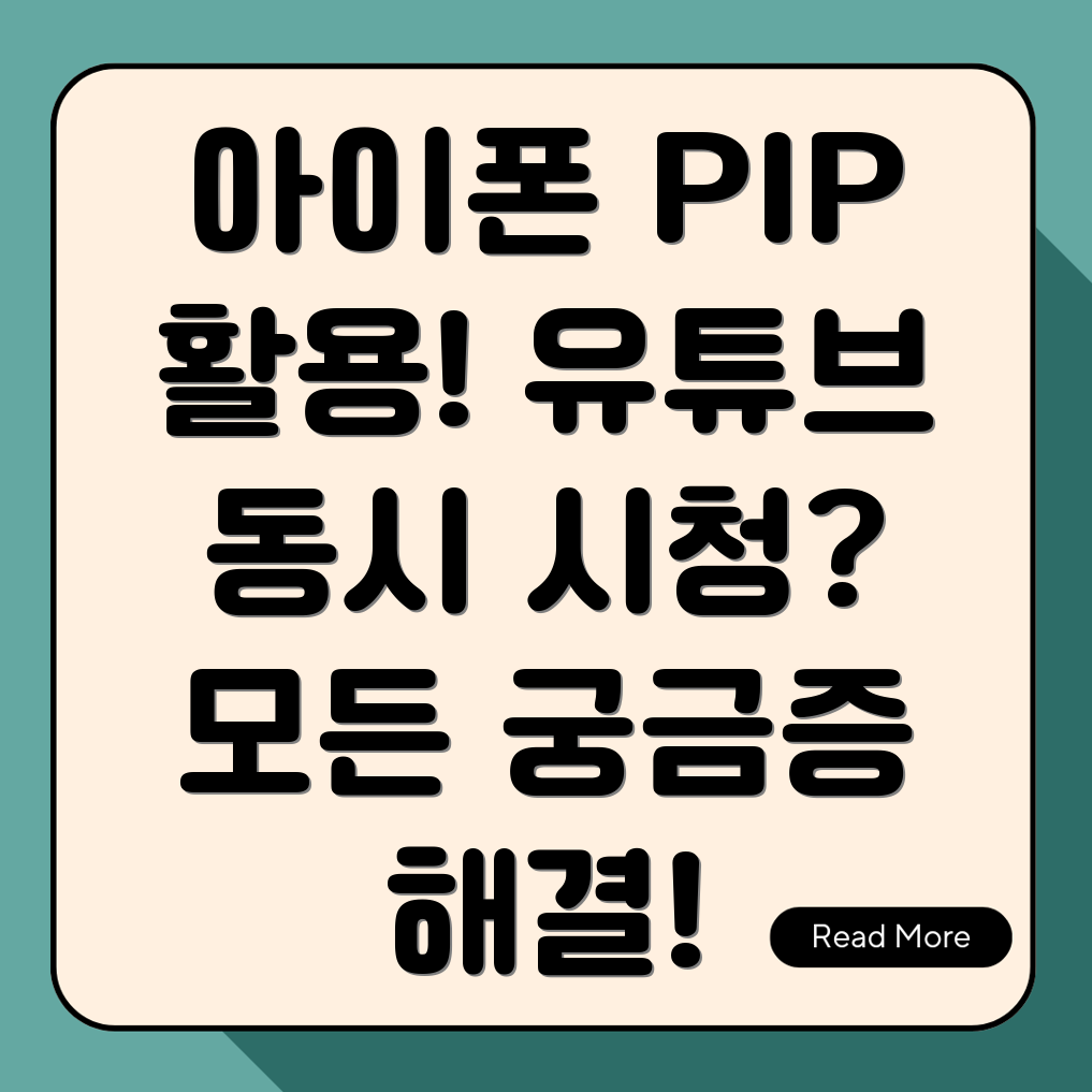 아이폰 유튜브 PIP