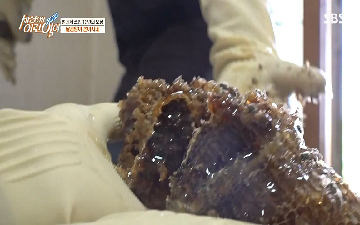 순간포착 세상에 이런일이.E1183.220608p-NEXT.mp4_20220608_201639.681.jpg