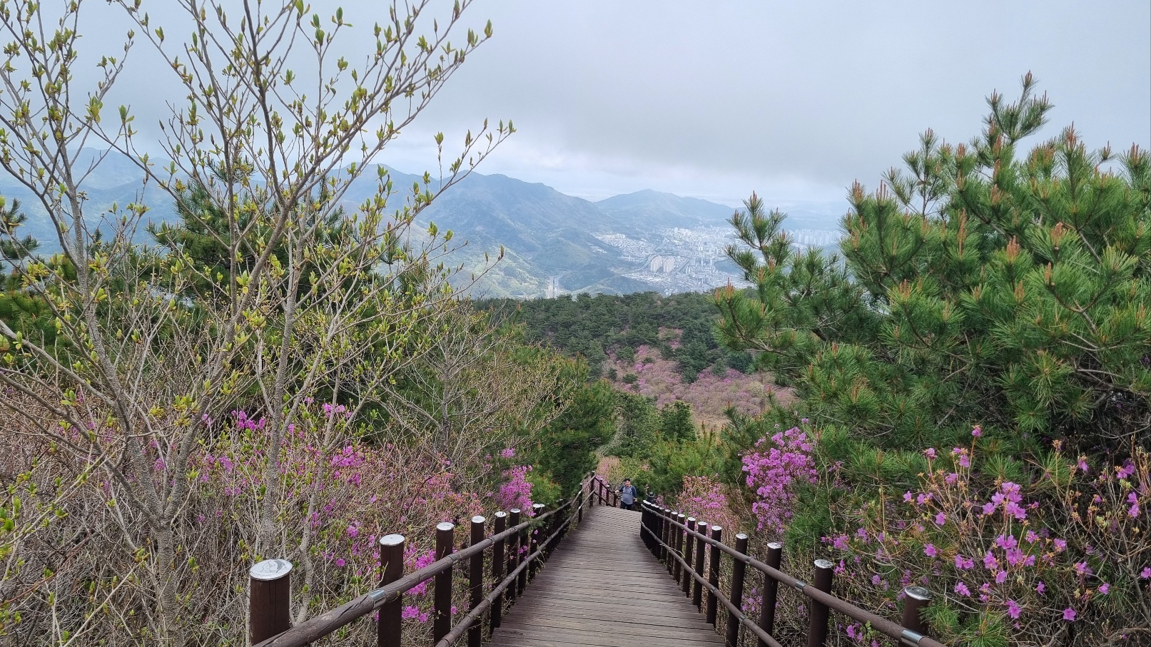 무학산 등산29