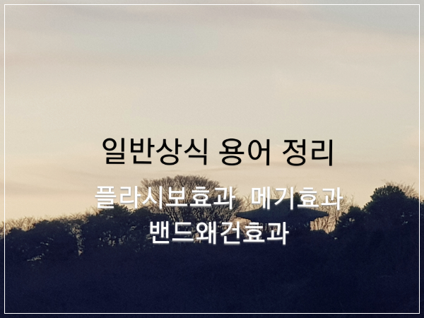  간단한 일반상식 용어 정리/플라시보효과 메기효과 밴드왜건효과