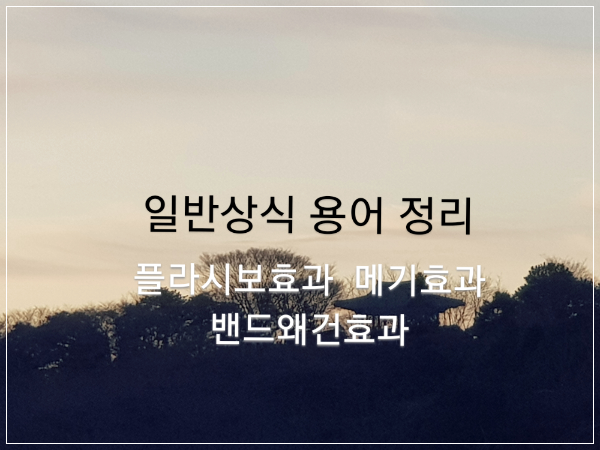 간단한일반상식용어정리플라시보효과메기효과밴드왜건효과